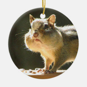 Chipmunk photo ceramic tree decoration