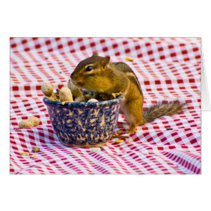 Chipmunk Picnic