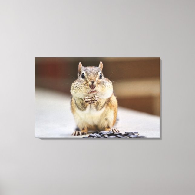 Chipmunk Picture Canvas Print (Front)