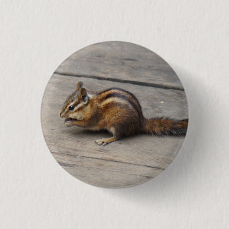 Chipmunk Pinback Button