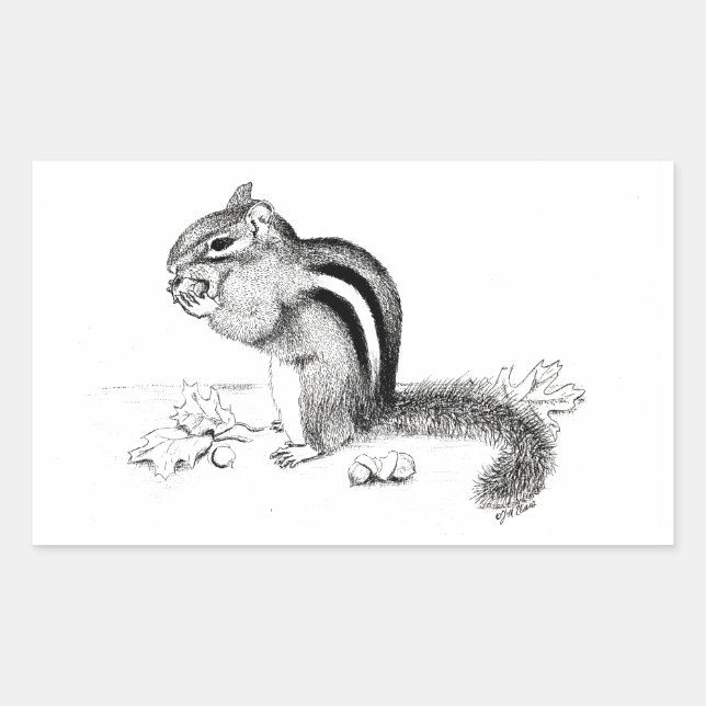 Chipmunk Rectangular Sticker (Front)