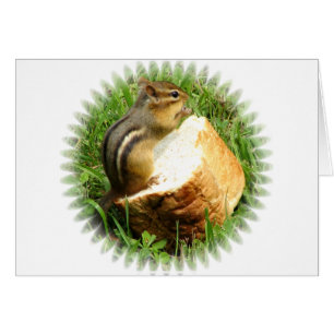 Chipmunk saying grace