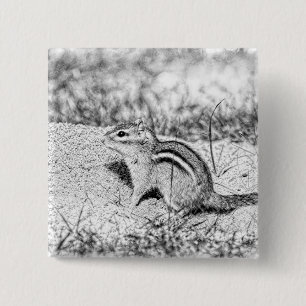 Chipmunk Sketch 15 Cm Square Badge