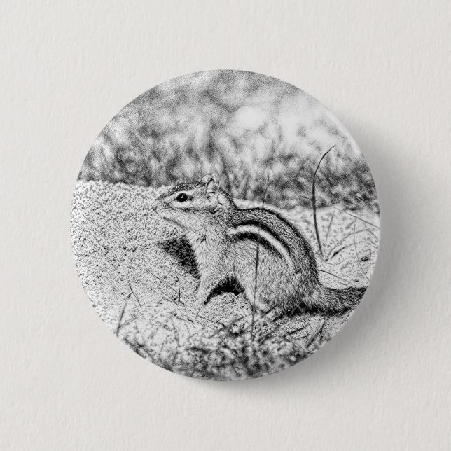 Chipmunk Sketch 6 Cm Round Badge (Front)