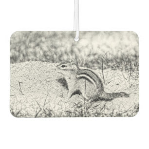 Chipmunk Sketch Car Air Freshener