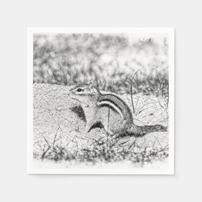 Chipmunk Sketch Napkin (Front)