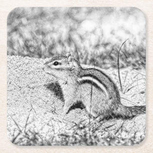 Chipmunk Sketch Square Paper Coaster