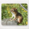 Chipmunk Soaking Up the Sun Mousepad