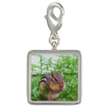 Chipmunk Square Charm