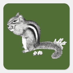 Chipmunk Square Sticker