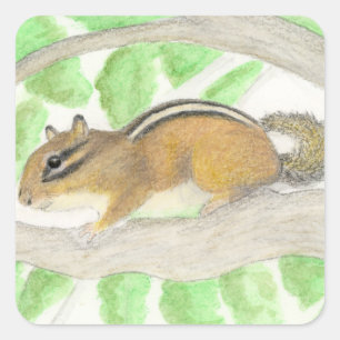 Chipmunk Square Sticker
