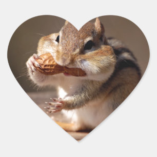 Chipmunk Stuffing His Face Heart Sticker