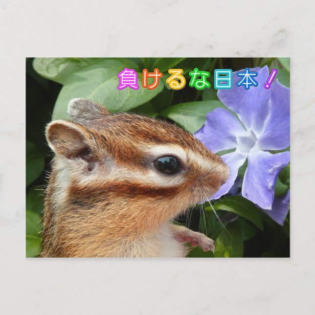 Chipmunk , Support JAPAN Postcard (Front)