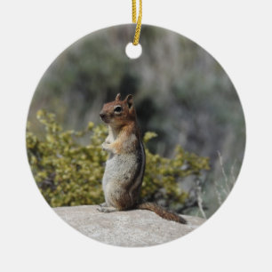 Chipmunk, wildlife, ceramic tree decoration