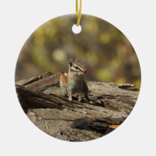 Chipmunk, wildlife, ornament
