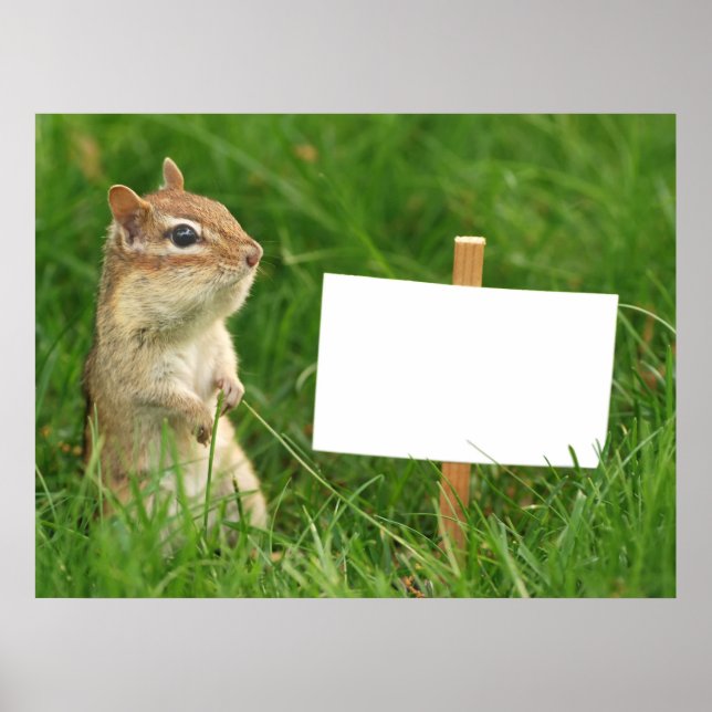 chipmunk with blank sign (Front)