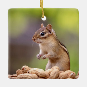 Chipmunk with peanuts ceramic tree decoration