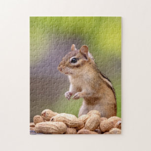 Chipmunk with peanuts jigsaw puzzle