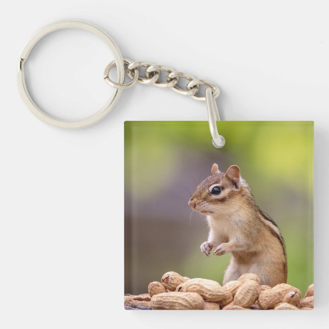 Chipmunk with peanuts key ring (Front)