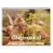 Chipmunks! A Super Cute 2013 Wall Calendar