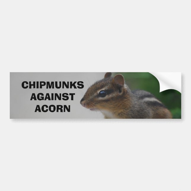 Chipmunks Against Acorn Bumper Sticker (Front)