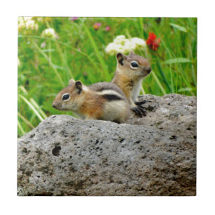 Chipmunks and wildflowers tile