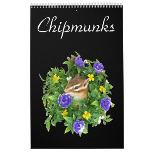 chipmunk's calendar (All countries)