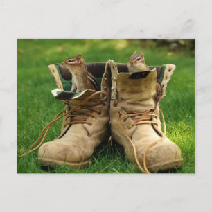 Chipmunks in Boots Postcard