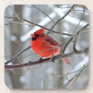 Chipper Winter Cardinal Coaster
