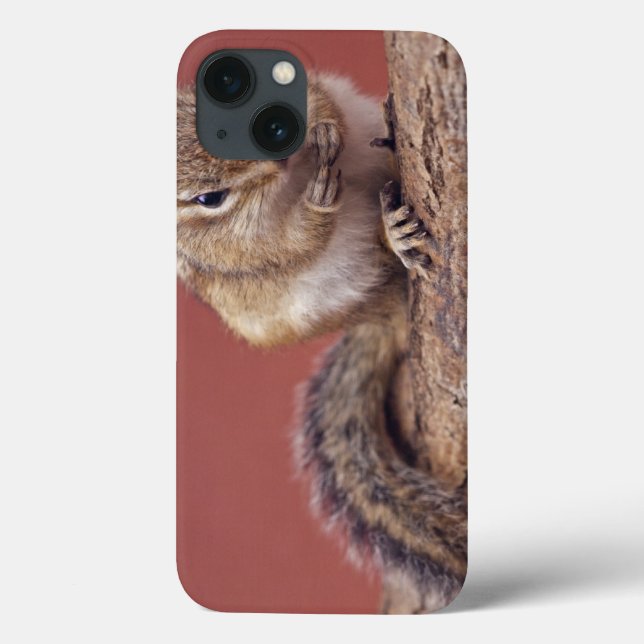Chippie iPad Case (Back)