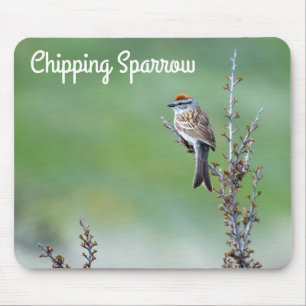 Chipping Sparrow Mouse Pad