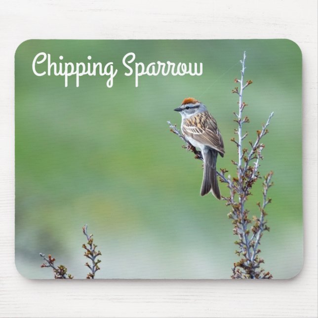 Chipping Sparrow Mouse Pad (Front)
