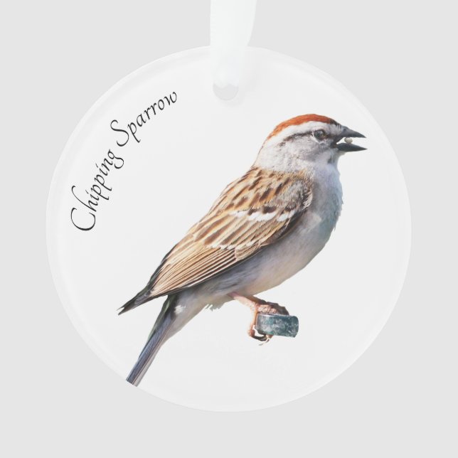 Chipping Sparrow Ornament (Front)