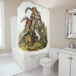 Chipping Squirrel ( Eastern Chipmunk ) by Audubon Shower Curtain