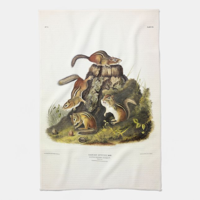 Chipping Squirrel ( Eastern Chipmunk ) by Audubon Tea Towel (Vertical)
