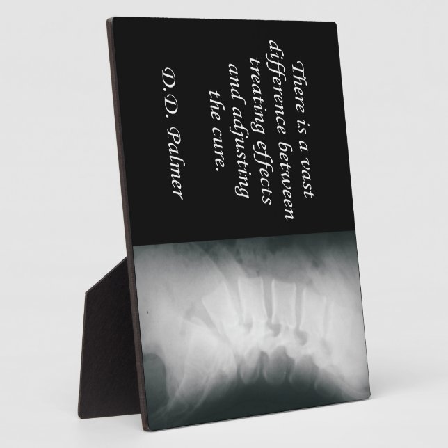 Chiropractic Adjusting the Cure Easel Plaque (Side)