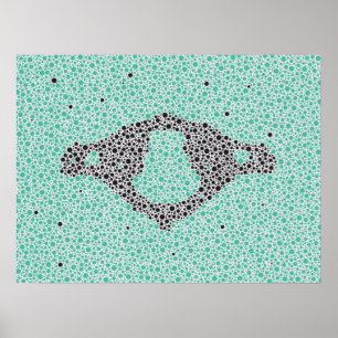 Chiropractic Anatomy Artwork Cervical Vertebrae Poster