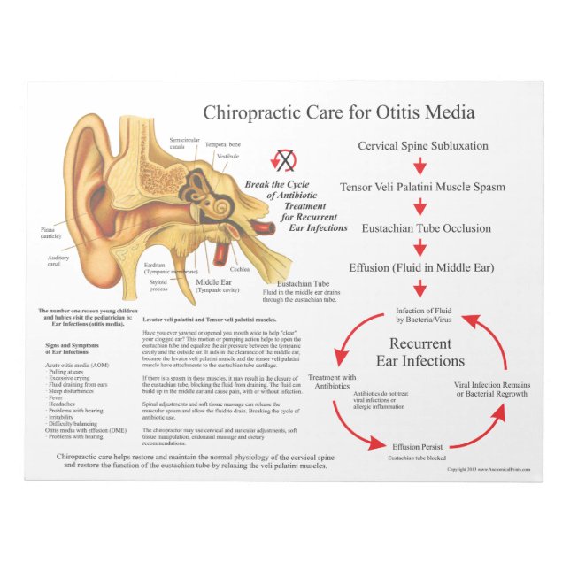 Chiropractic Care for Ear Infections Handouts Notepad (Front)