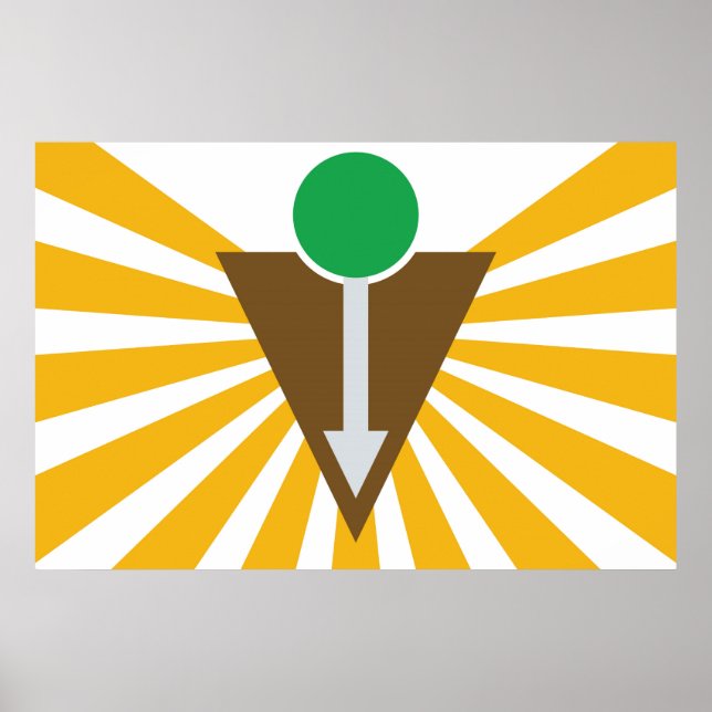 Chiropractic Flag Poster (Front)