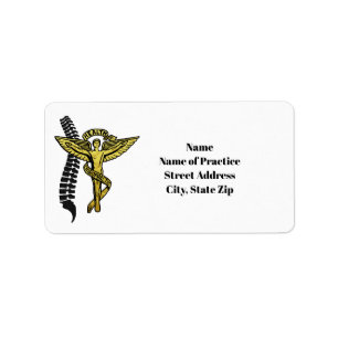 Chiropractic Medical Symbol and Spine Labels