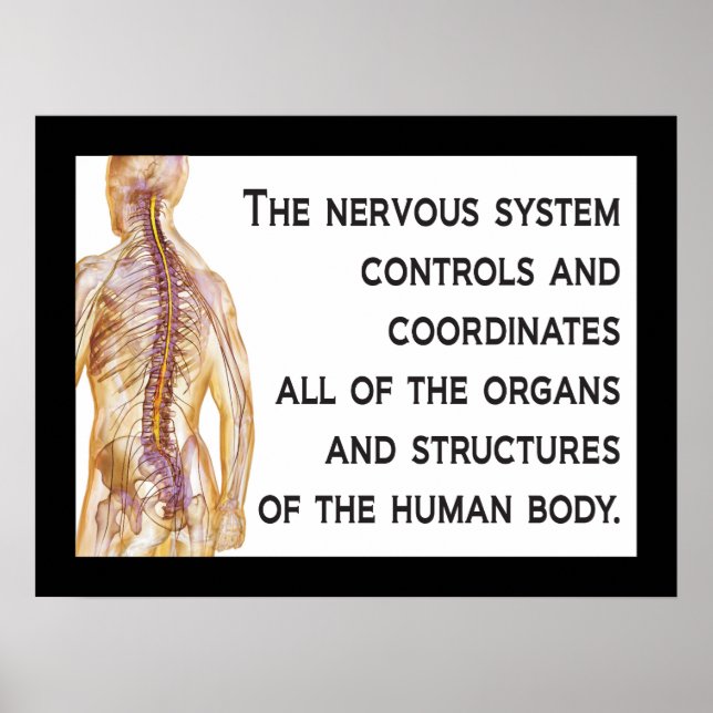 Chiropractic Nerves Quote Poster Customise (Front)