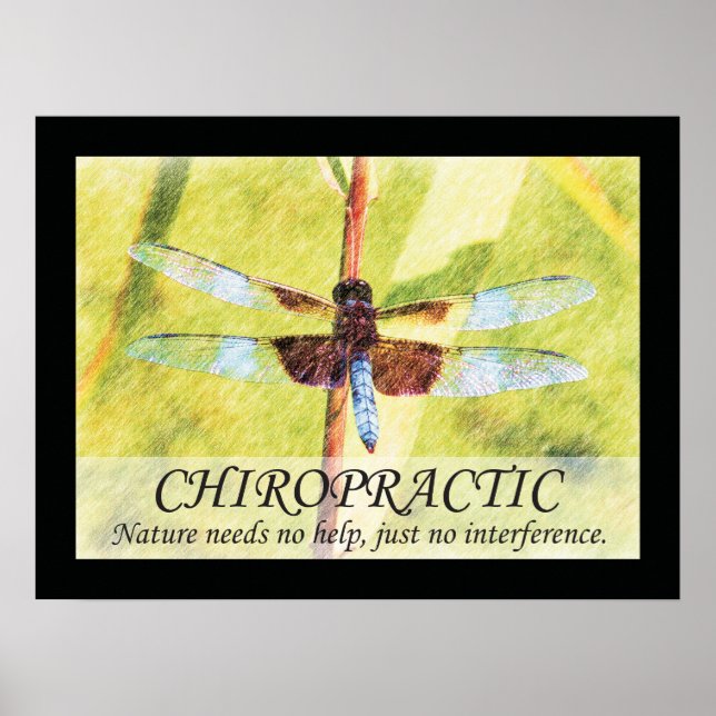 Chiropractic Quotes and Sayings Nature Poster (Front)