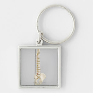 Chiropractic skeleton key ring