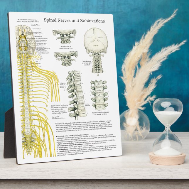Chiropractic Spinal Nerves Subluxations Easel Plaque (Side)