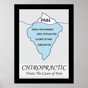Chiropractic Treats the Cause Poster