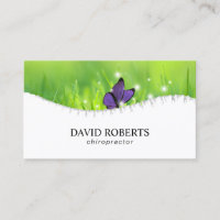 Chiropractor Chiropractic Spine & Butterfly Chiro
