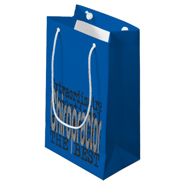Chiropractor Extraordinaire Small Gift Bag (Front Angled)