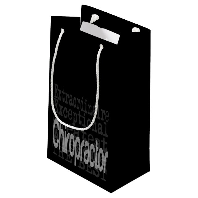 Chiropractor Extraordinaire Small Gift Bag (Back Angled)