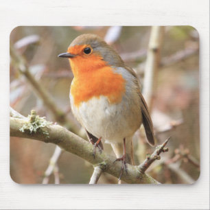 Chirpy Robin Mouse Pad