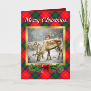 Chisholm Stag & Robin Tartan Personalised  Holiday Card